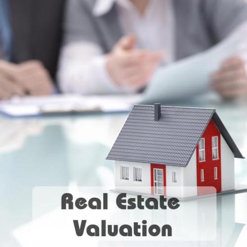 Real Estate Valuer